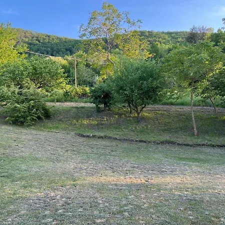 Casa Singola Immersa Nel Verde Pergola
